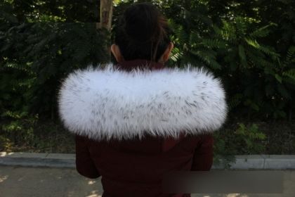 Бяла с черни върхове яка естествен косъм миеща мечка 80 см / 22 см широчина за яке