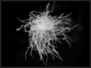 Зимно яке BLESSEDLY с гъши пух и яка от естествен косъм