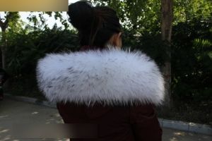 Бяла с черни върхове яка естествен косъм миеща мечка 80 см / 22 см широчина за яке