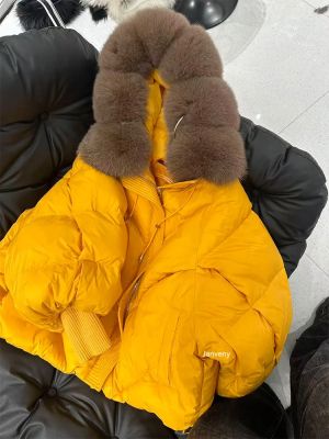 Зимно яке с пълнеж патешки пух и голяма яка